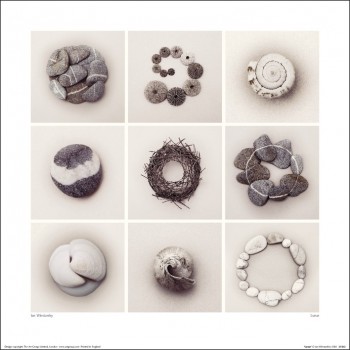 Ian Winstanley (Lunar)