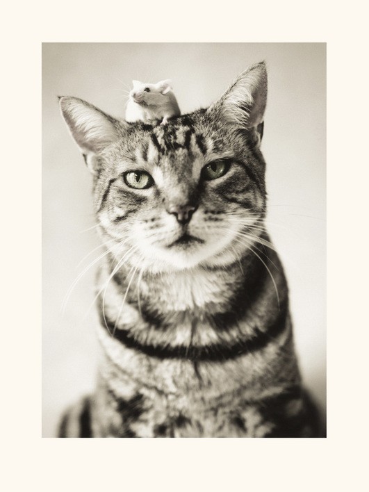 Rachael Hale (Nikon And Nigel)