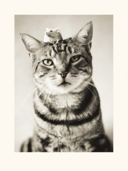 Rachael Hale (Nikon And Nigel)