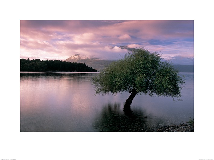 Pete Seaward (South Island, New Zealand)