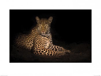 Mario Moreno (Beauty in the Night)