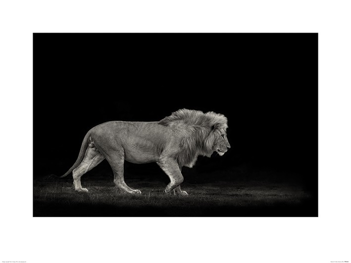 Mario Moreno (Majestic)