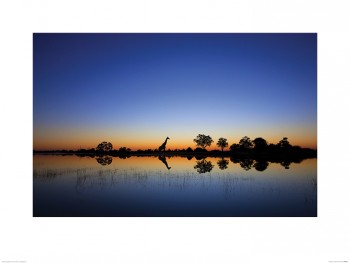 Mario Moreno (Okavango)