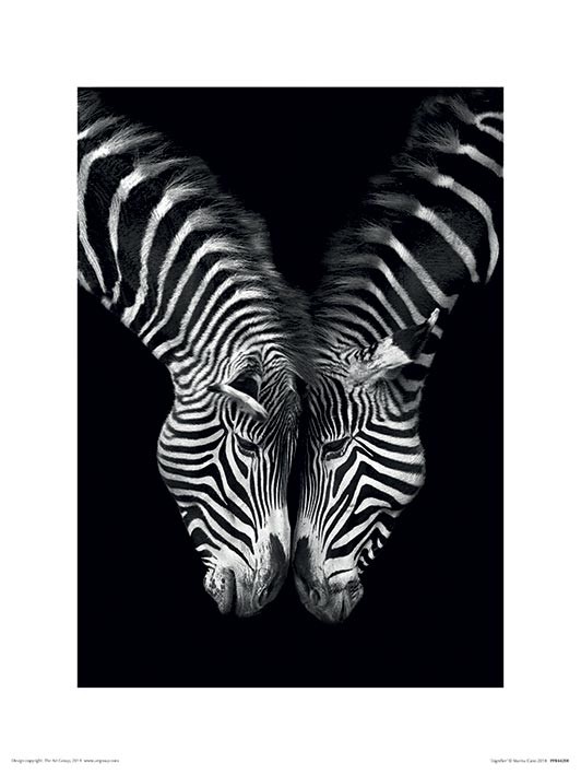 Marina Cano (Together)