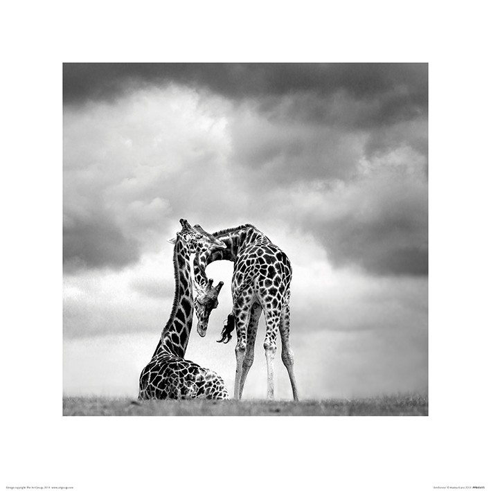 Marina Cano (Tenderness)