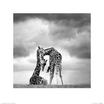 Marina Cano (Tenderness)