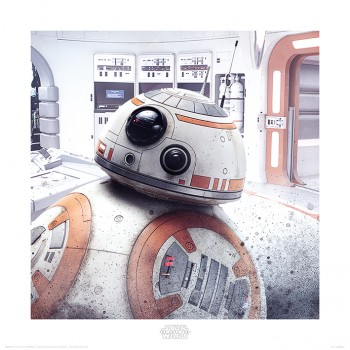 Star Wars The Last Jedi (BB-8 Peek)