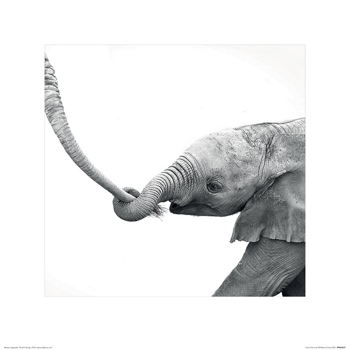 Marina Cano (Don't Get Lost)