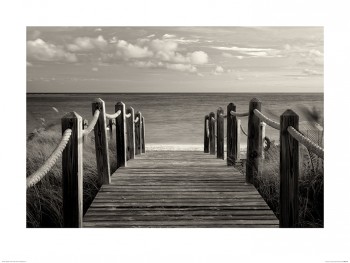 Dennis Frates (Pathway to Paradise)