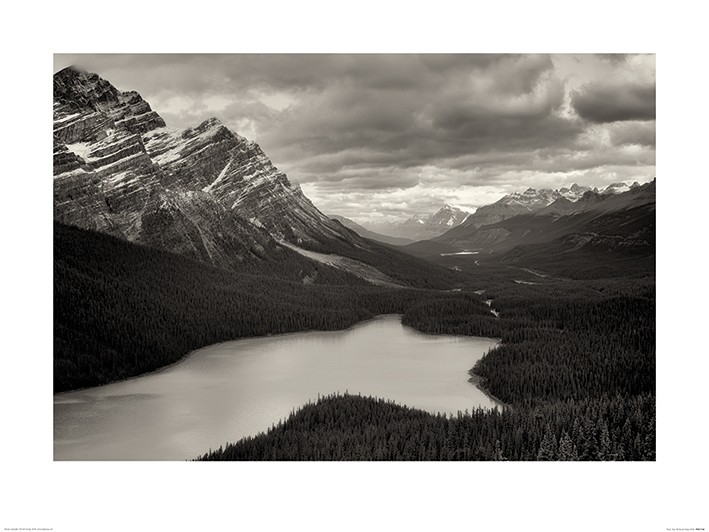 Dennis Frates (Peyto View)